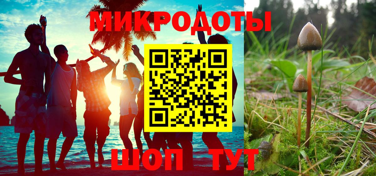 Псилоцибиновые грибы MAGIC MUSHROOMS  Вход с VPN  Владимир  Псилоцибиновые грибы Psilocybe 
